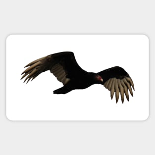 Turkey Vulture Sticker